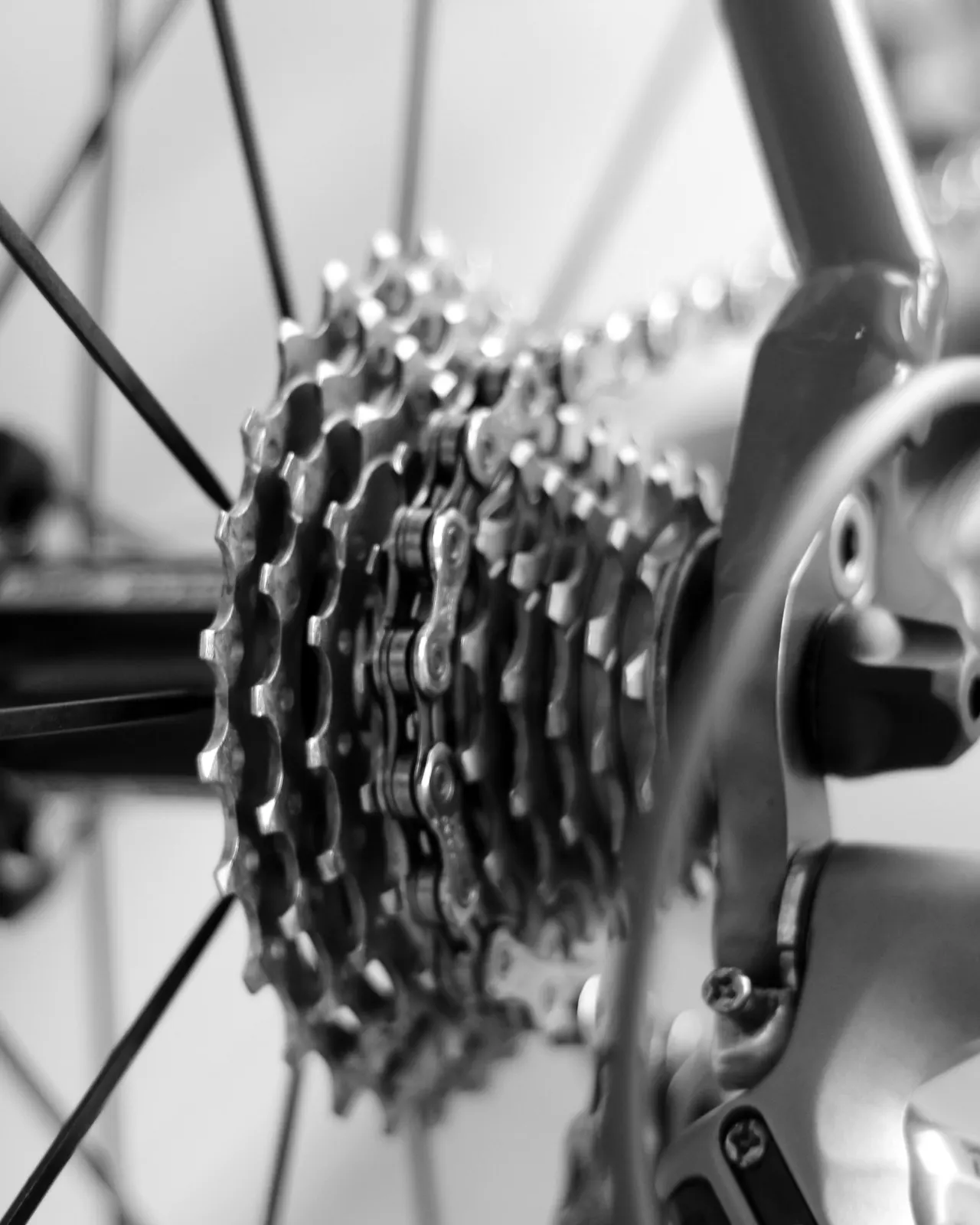 Close-up of a bicycle cassette, chain, and rear derailleur.